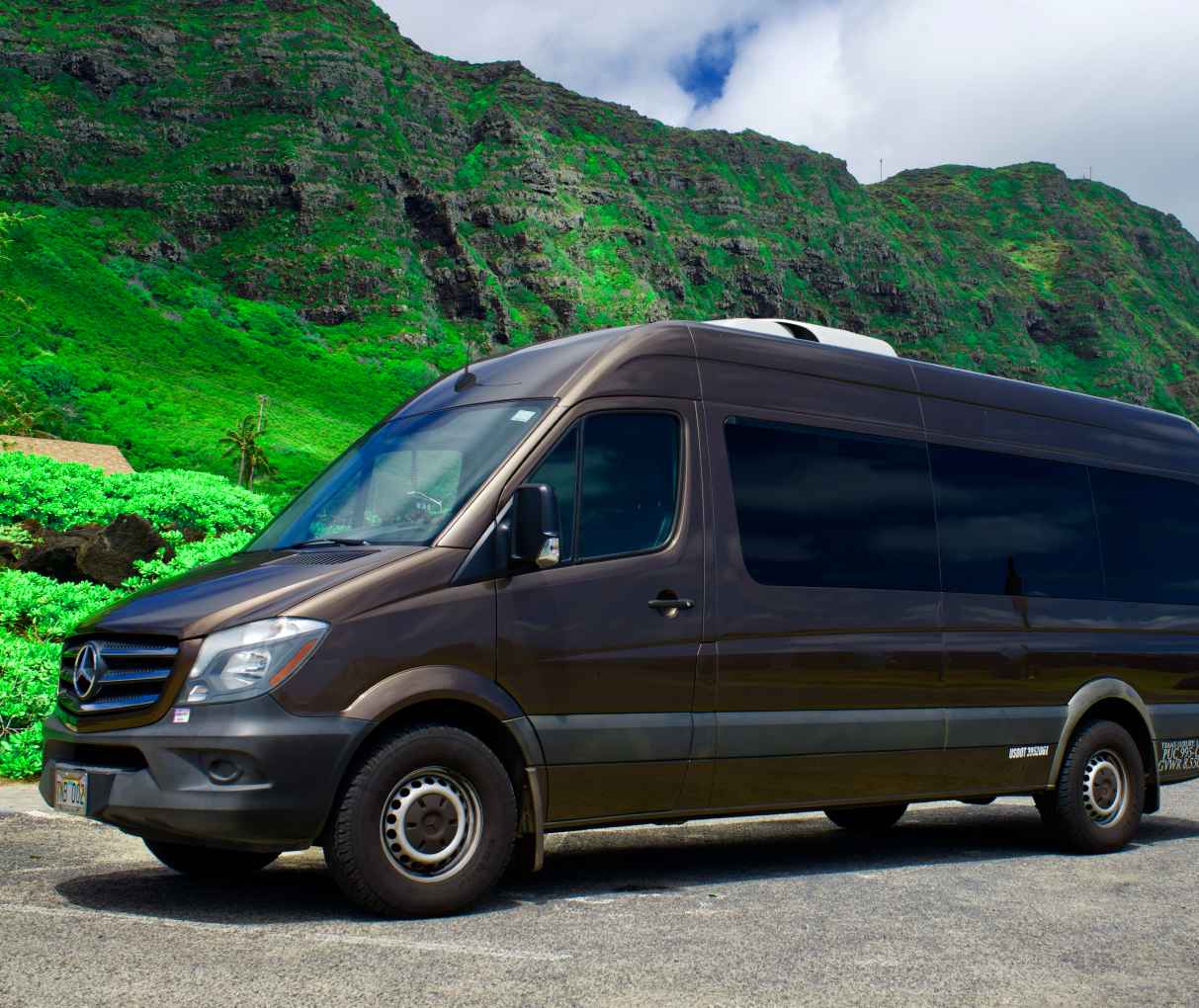 Mercedes Van_oahu_tours