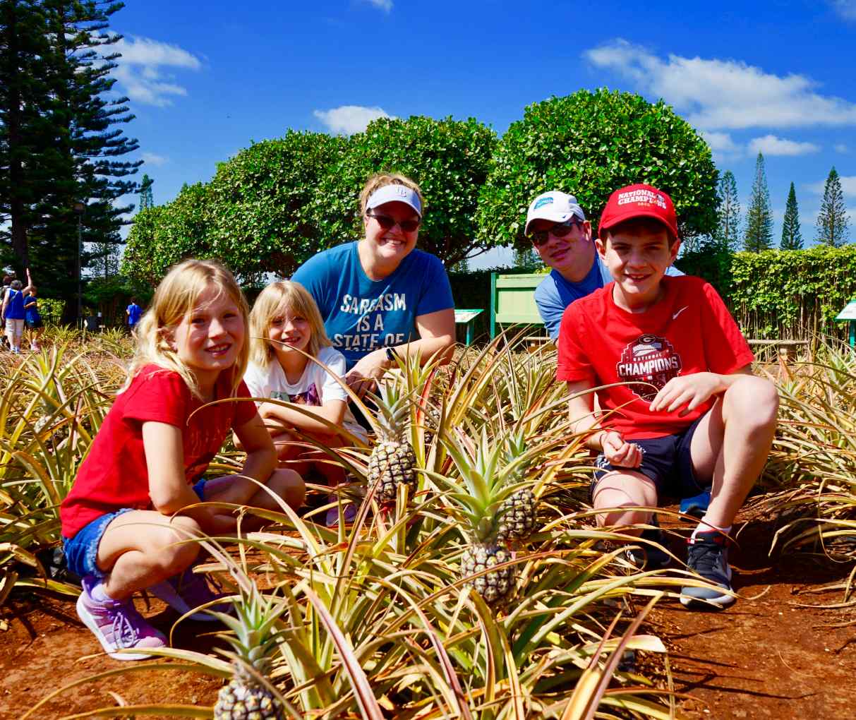 Pineapplefieldfamily